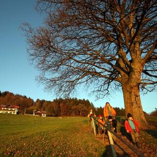 Hoher Peißenberg