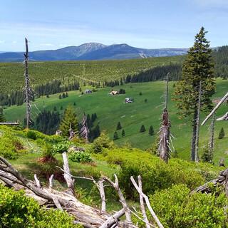 Auch die Dimensionen sind ganz schön riesig: Im Riesengebirge hat man was zu laufen. Foto: Swen Geißler