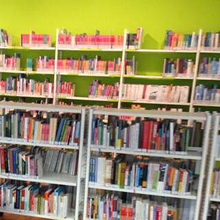 Access to many books via the DAV libraries. (c) DAV