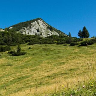 rueckblick-von-der-rissalm-zum-gipfel