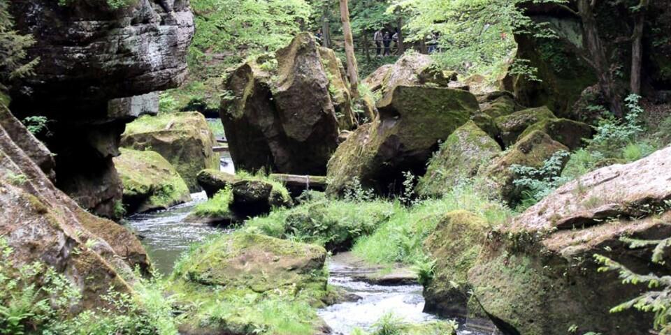 Who the f** is Edmund? Vielleicht der Erfinder dieser gleichnamigen Klamm? Foto: Swen Geißler