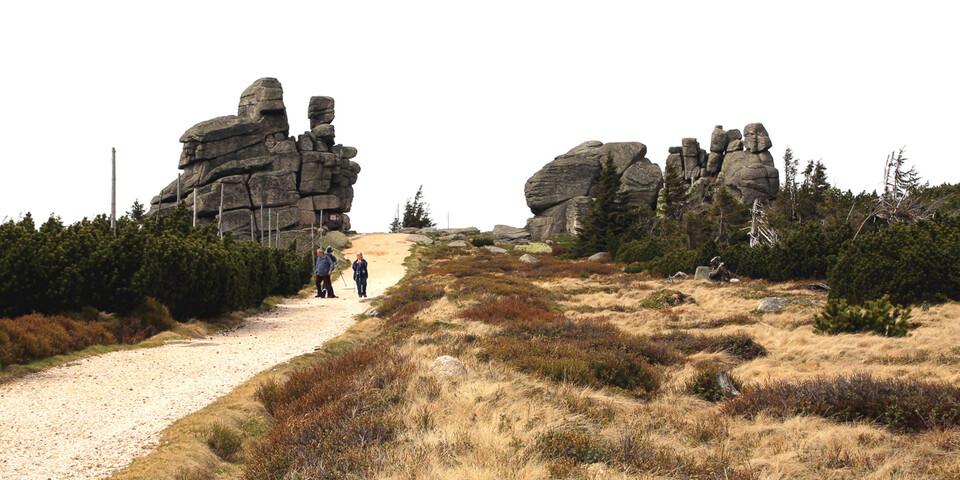 Sichtbar gereift sind die Felsen am Reifträger – sie tragen’s mit Fassung. Foto: Swen Geißler