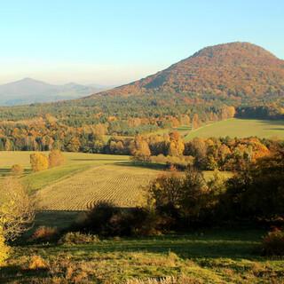 Vom Hutberg sieht man zwar keinen Rosengarten, aber wenigstens einen Rosenberg. Foto: Swen Geißler